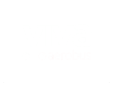 Viva aerobus