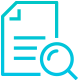 Audit Icon