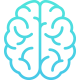 brain