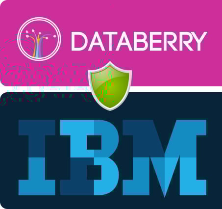 eval-ibm-bg