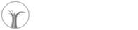Databerry Logo